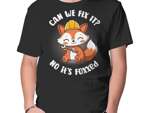 Can We Fix It Fox