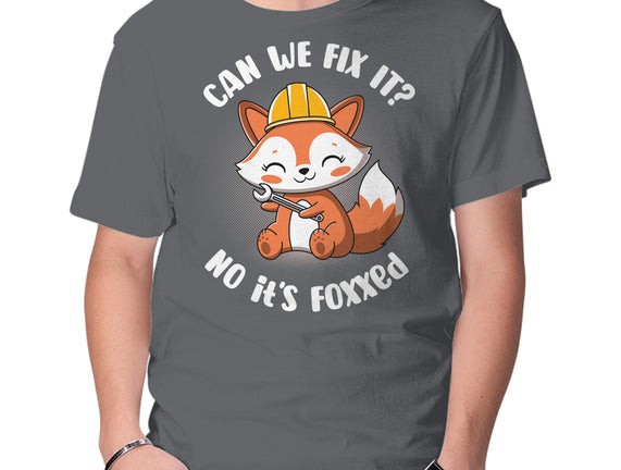 Can We Fix It Fox