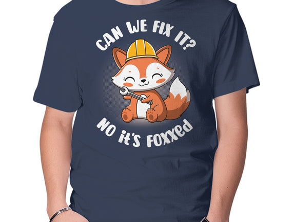 Can We Fix It Fox