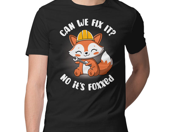 Can We Fix It Fox