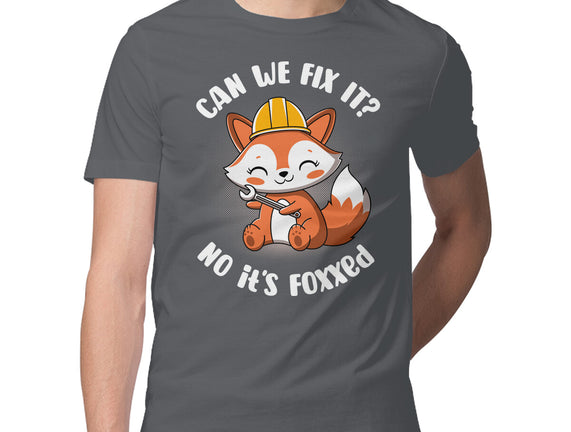 Can We Fix It Fox