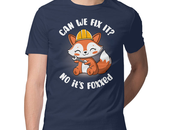 Can We Fix It Fox