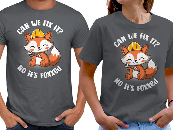 Can We Fix It Fox