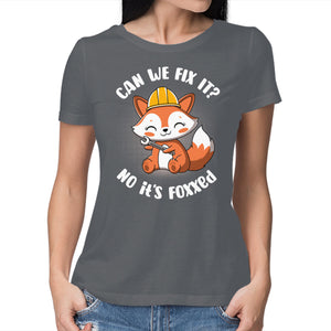Can We Fix It Fox