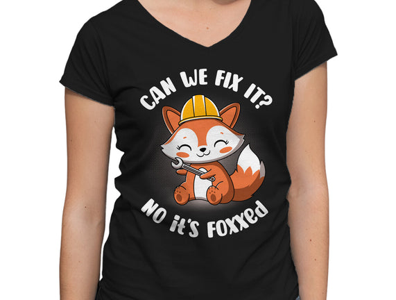 Can We Fix It Fox