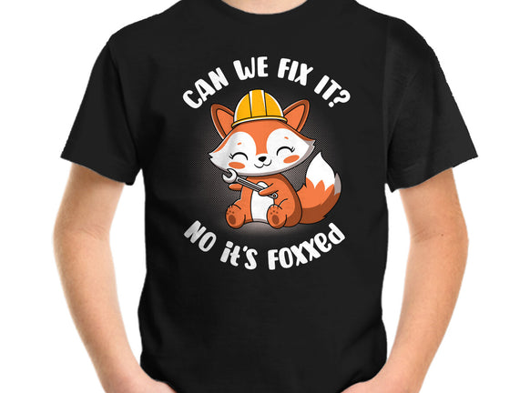 Can We Fix It Fox