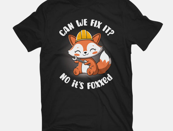 Can We Fix It Fox