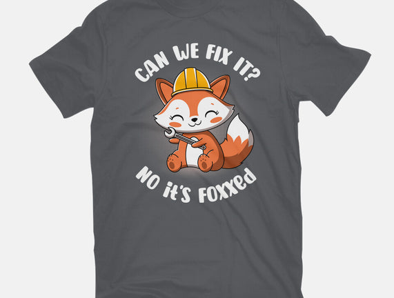 Can We Fix It Fox