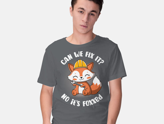 Can We Fix It Fox