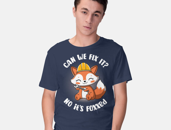 Can We Fix It Fox