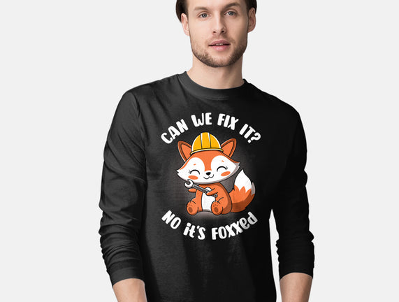 Can We Fix It Fox