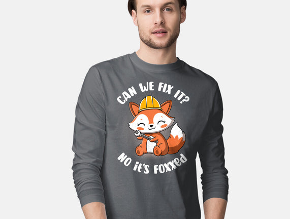 Can We Fix It Fox