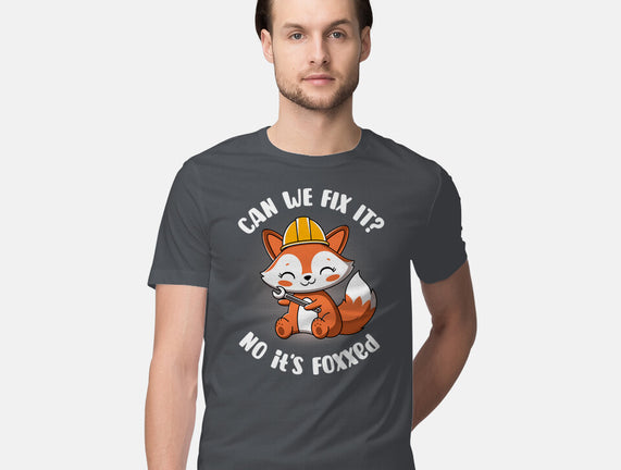 Can We Fix It Fox