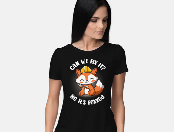 Can We Fix It Fox