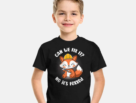 Can We Fix It Fox