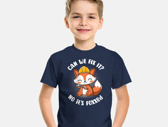 Can We Fix It Fox