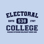 Electoral College-Unisex-Pullover-Sweatshirt-kg07