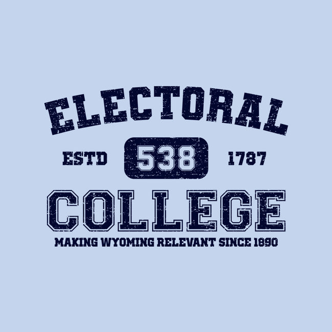 Electoral College-Womens-Basic-Tee-kg07