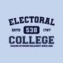 Electoral College-Womens-Basic-Tee-kg07