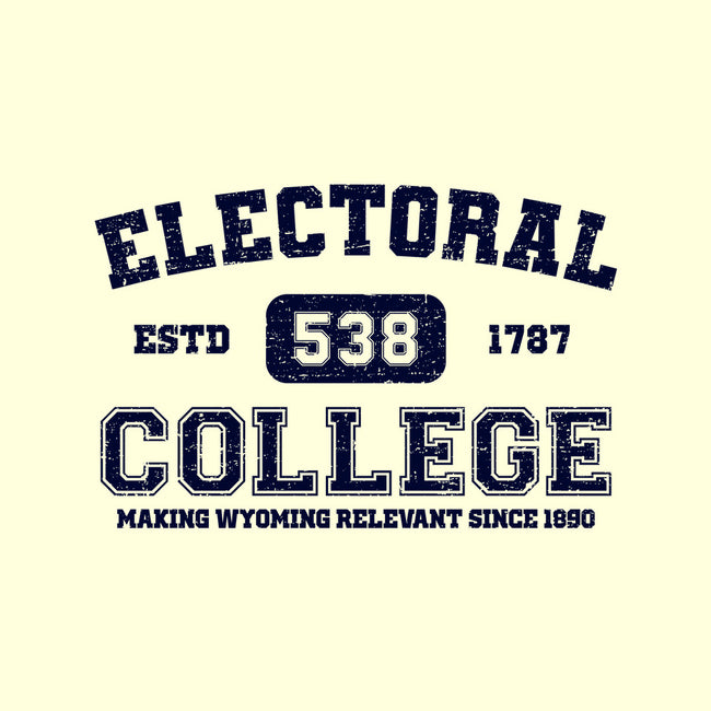 Electoral College-Mens-Basic-Tee-kg07