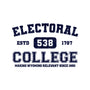 Electoral College-Mens-Basic-Tee-kg07