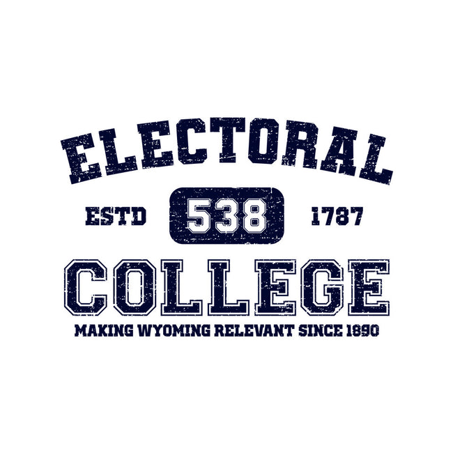 Electoral College-Womens-Basic-Tee-kg07