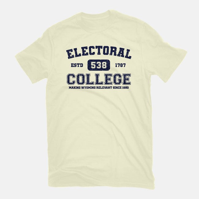 Electoral College-Mens-Basic-Tee-kg07
