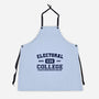 Electoral College-Unisex-Kitchen-Apron-kg07