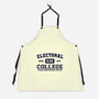 Electoral College-Unisex-Kitchen-Apron-kg07
