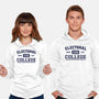 Electoral College-Unisex-Pullover-Sweatshirt-kg07
