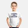 Electoral College-Youth-Basic-Tee-kg07