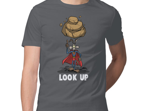 Quick Look Up