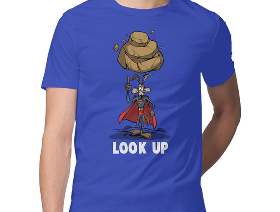 Quick Look Up