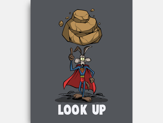 Quick Look Up