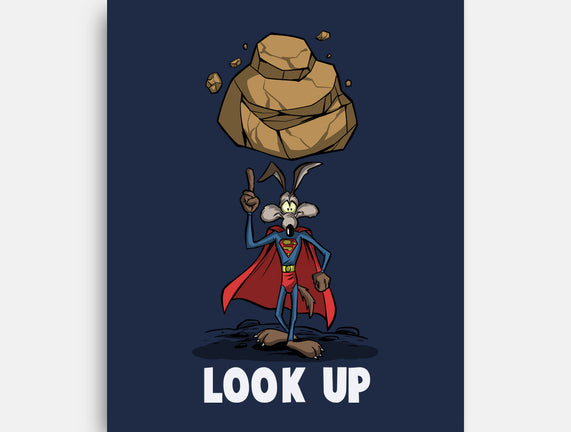 Quick Look Up