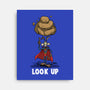 Quick Look Up-None-Stretched-Canvas-zascanauta