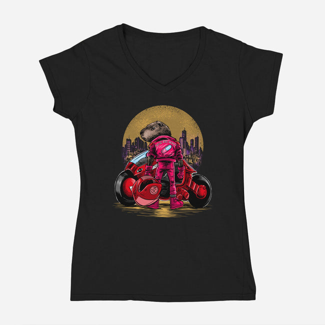 Capybira-Womens-V-Neck-Tee-zascanauta