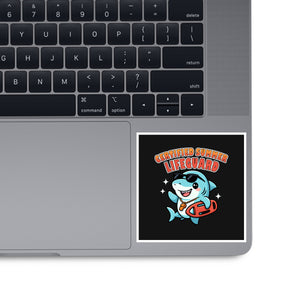 Certified Summer Lifeguard