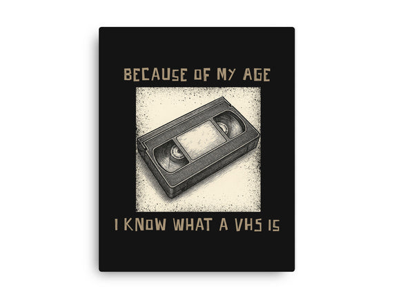 I Survived The VHS Era