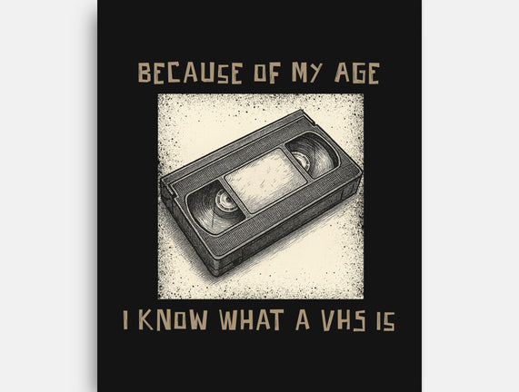I Survived The VHS Era