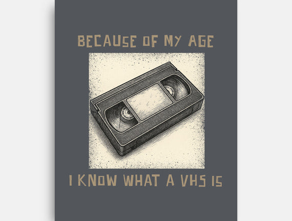I Survived The VHS Era