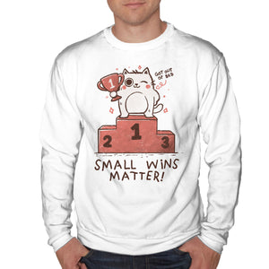 Small Wins Matter