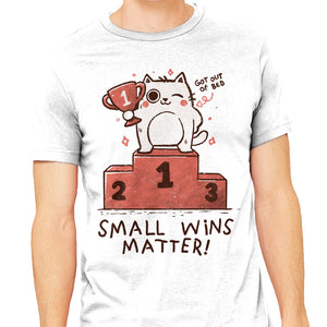Small Wins Matter