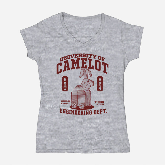 University Of Nonsense-Womens-V-Neck-Tee-Popnotic