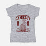 University Of Nonsense-Womens-V-Neck-Tee-Popnotic
