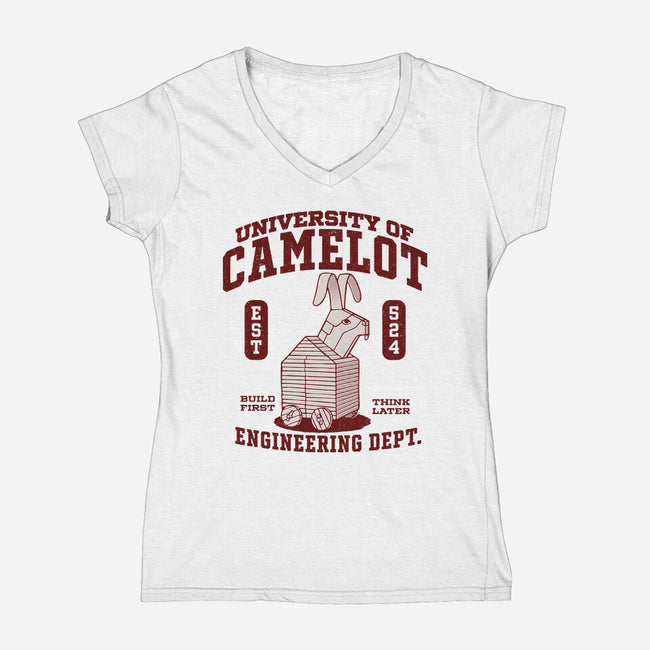 University Of Nonsense-Womens-V-Neck-Tee-Popnotic