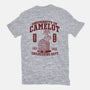 University Of Nonsense-Mens-Premium-Tee-Popnotic