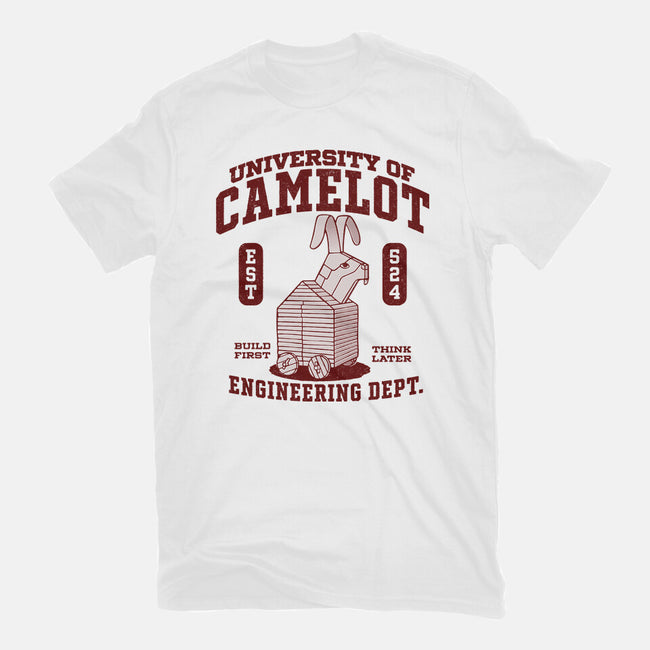 University Of Nonsense-Womens-Fitted-Tee-Popnotic