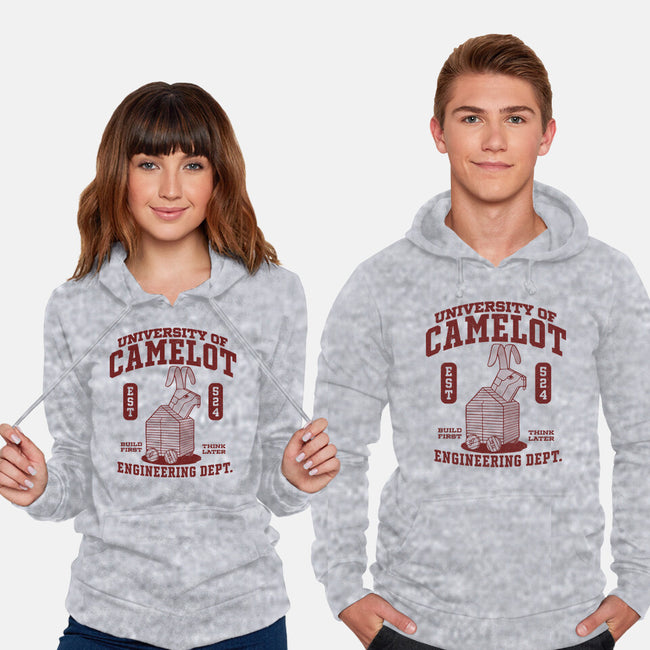 University Of Nonsense-Unisex-Pullover-Sweatshirt-Popnotic