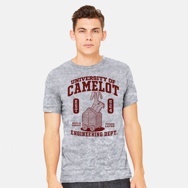 University Of Nonsense-Mens-Heavyweight-Tee-Popnotic